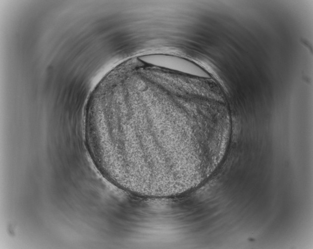 X0000099951046200806131443