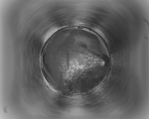 X0000099951047200806131443