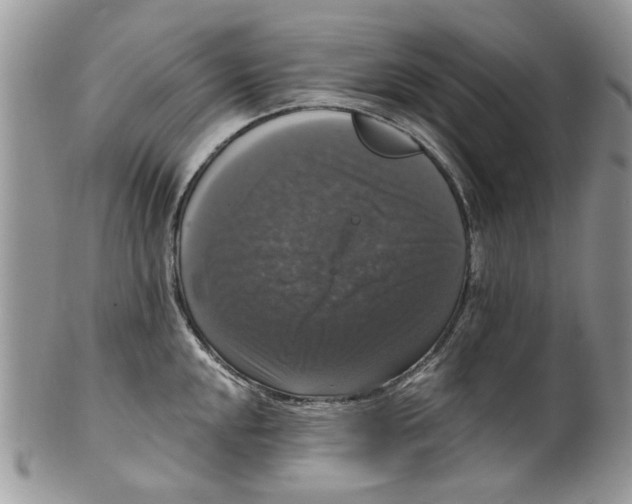 X0000099951048200806131443