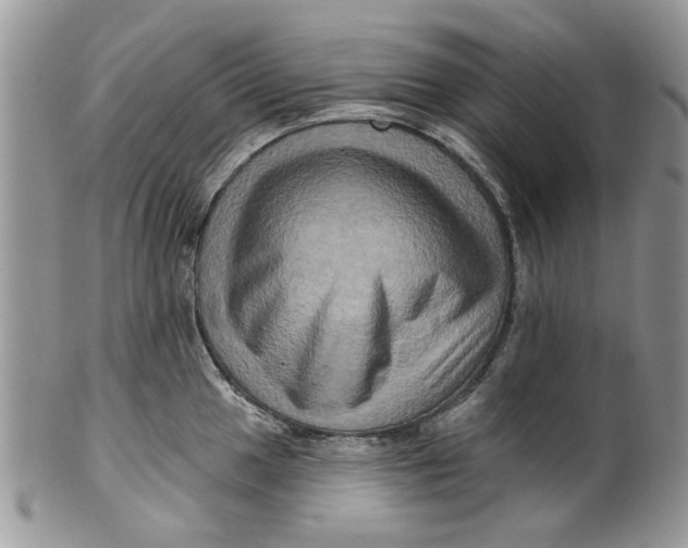 X0000099951049200806131443