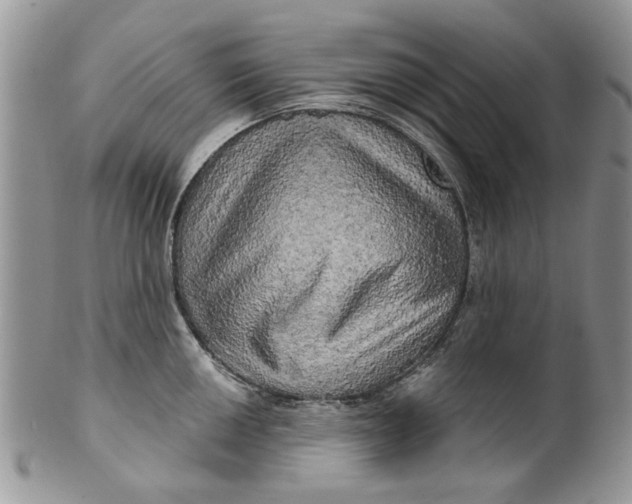 X0000099951050200806131443