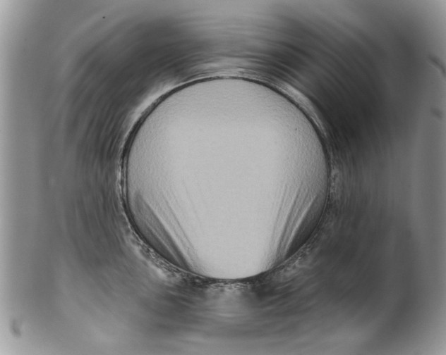 X0000099951051200806131443