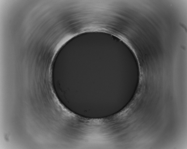 X0000099951053200806131443