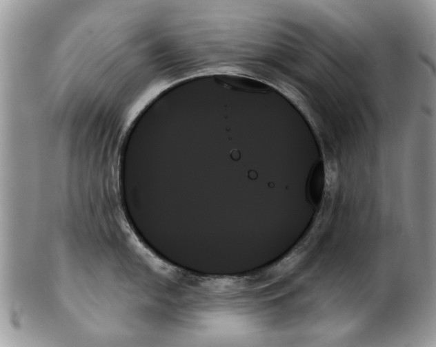 X0000099951054200806131443