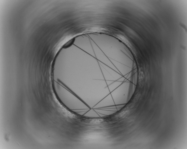 X0000099951055200806131443