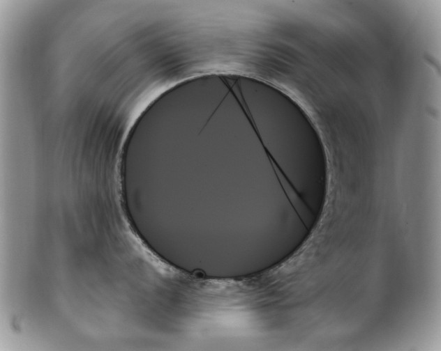 X0000099951056200806131443