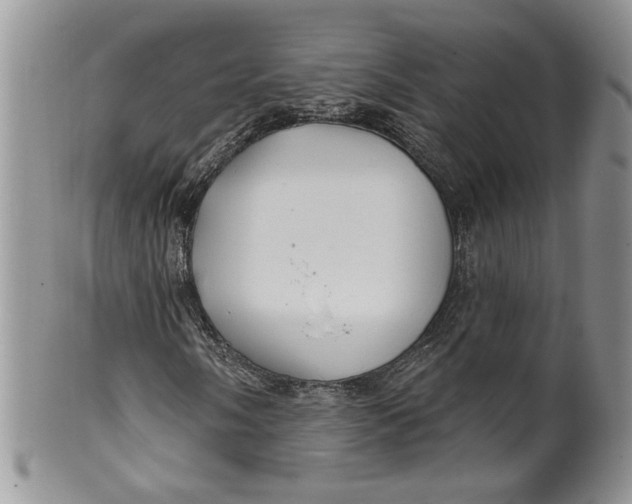 X0000099951058200806131442