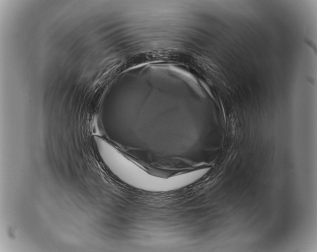 X0000099951060200806131442