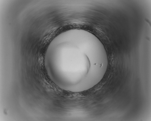 X0000099951061200806131442