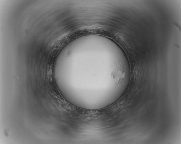 X0000099951062200806131442