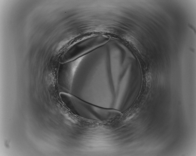 X0000099951064200806131442