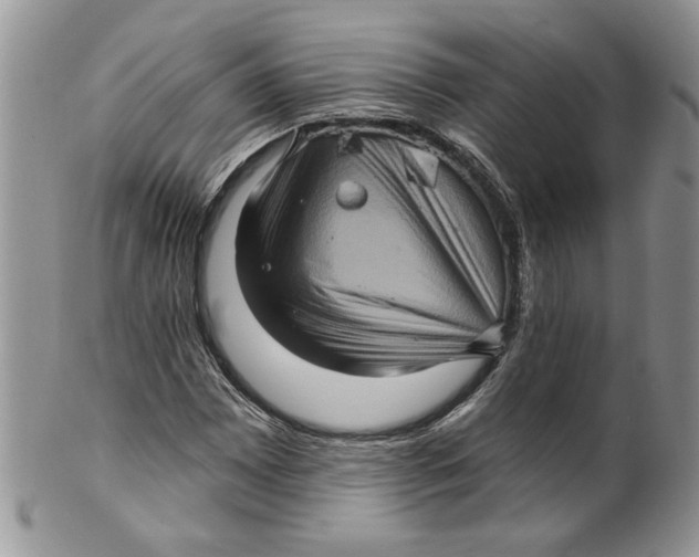 X0000099951065200806131442