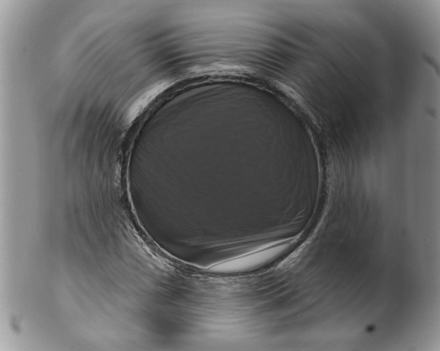 X0000099951066200806131442