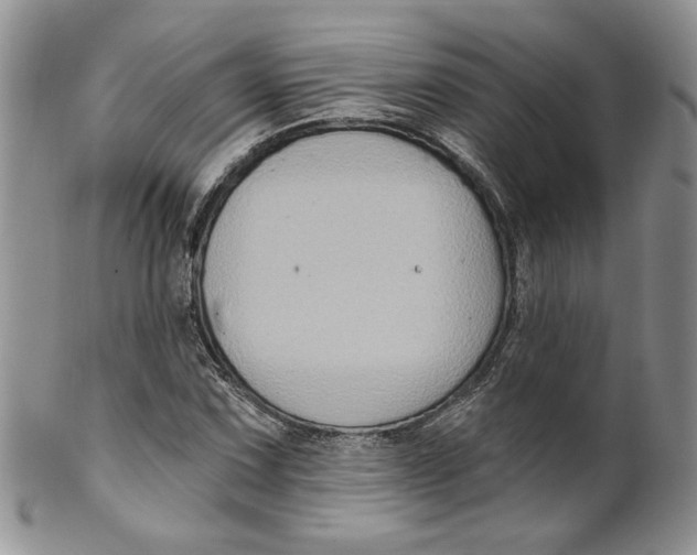 X0000099951067200806131442