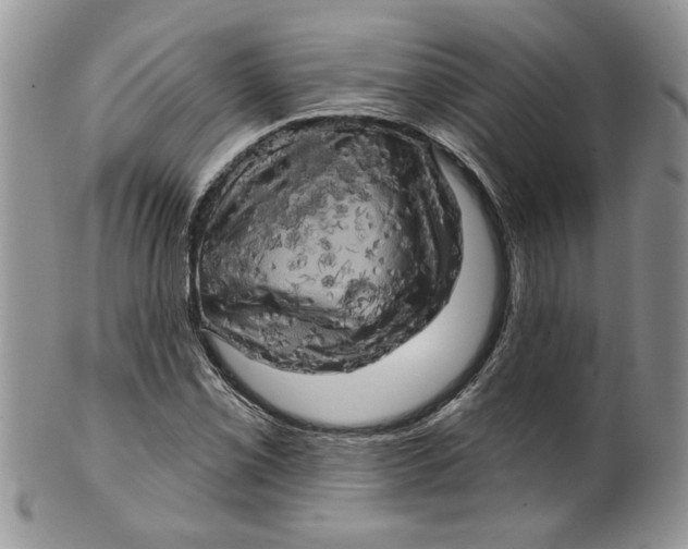 X0000099951069200806131442