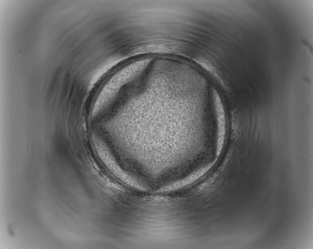 X0000099951070200806131442