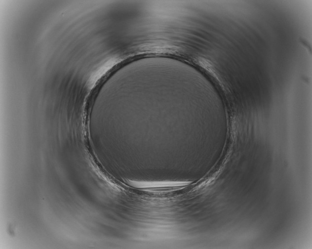 X0000099951071200806131442