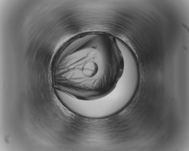 X0000099951072200806131442