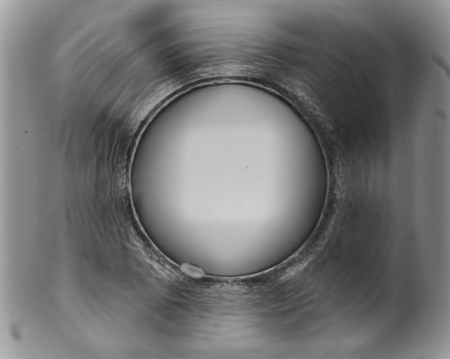 X0000099951073200806131442