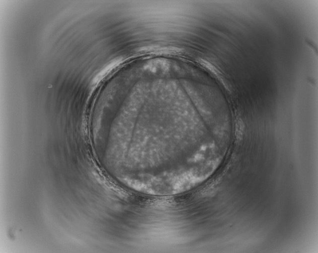 X0000099951074200806131442