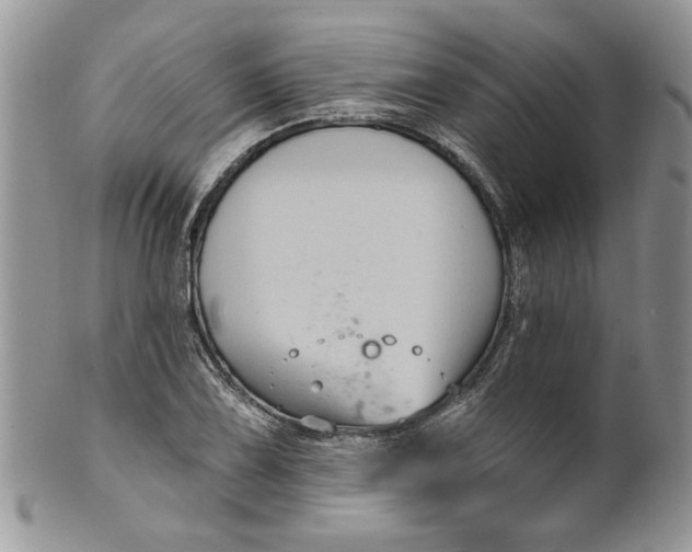 X0000099951075200806131442