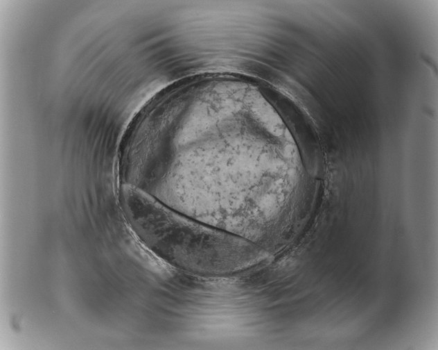 X0000099951076200806131442