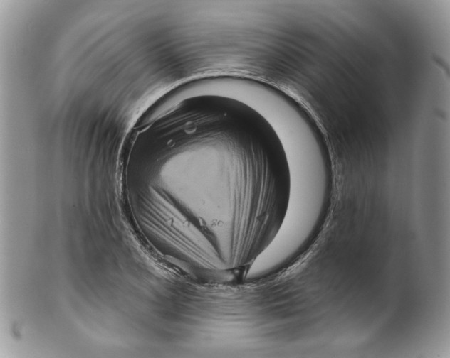 X0000099951077200806131442