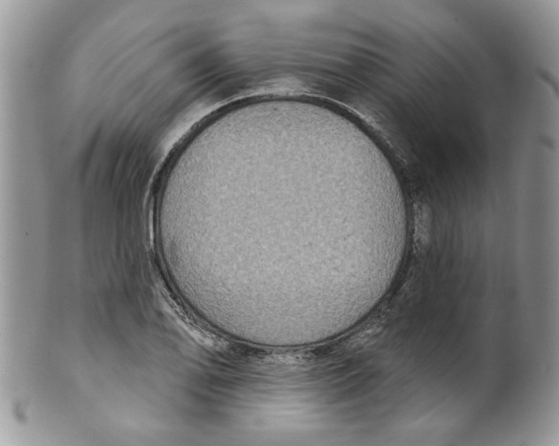 X0000099951078200806131442