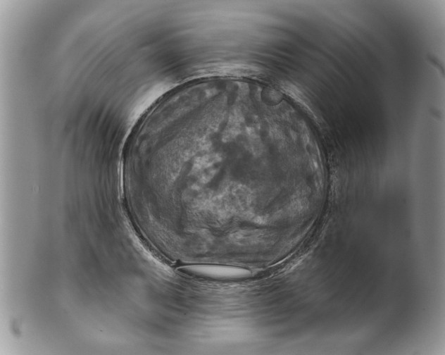 X0000099951079200806131442