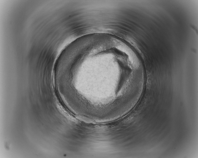 X0000099951080200806131442