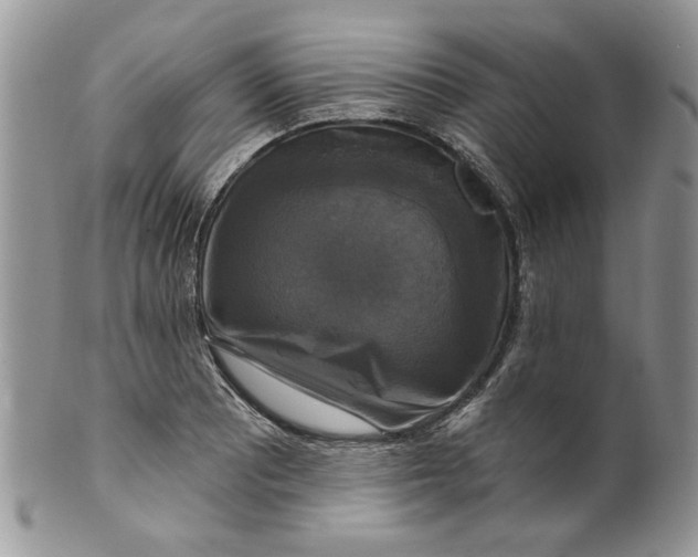 X0000099951081200806131442