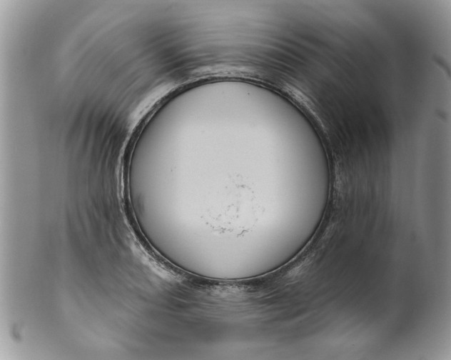 X0000099951082200806131442