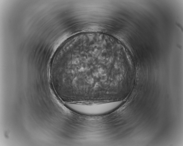 X0000099951083200806131442