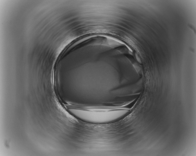 X0000099951084200806131442