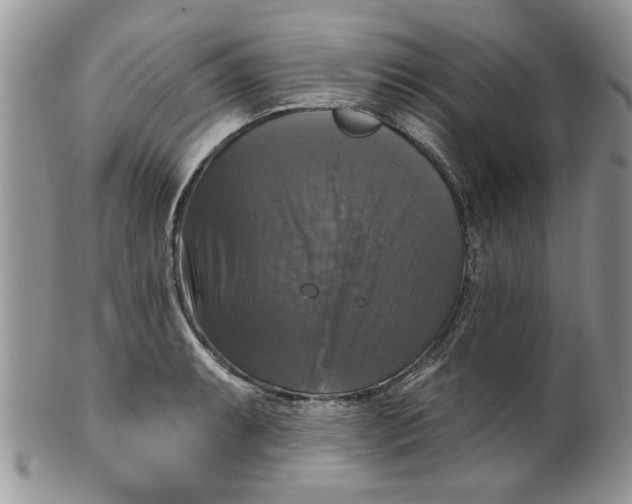 X0000099951087200806131442