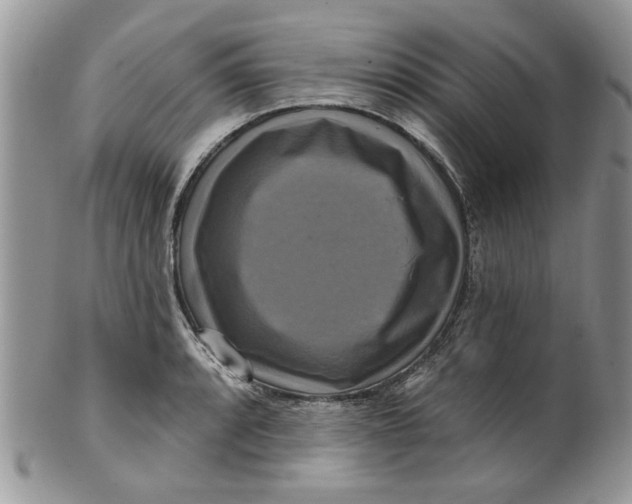 X0000099951088200806131442