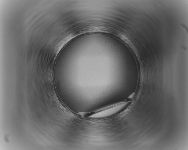 X0000099951089200806131442