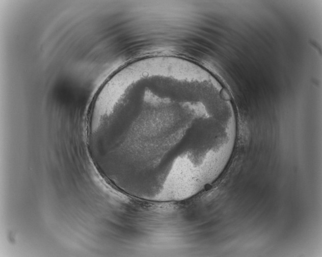 X0000099951090200806131442