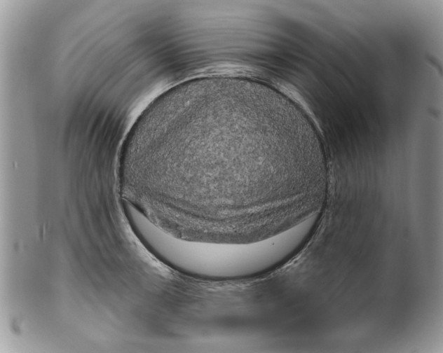 X0000099951091200806131442