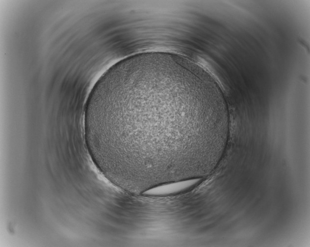 X0000099951092200806131442