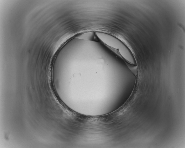 X0000099951093200806131442