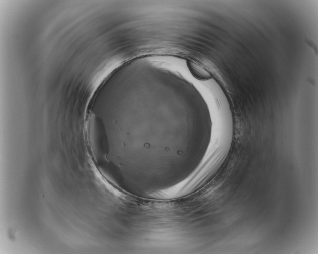 X0000099951095200806131442