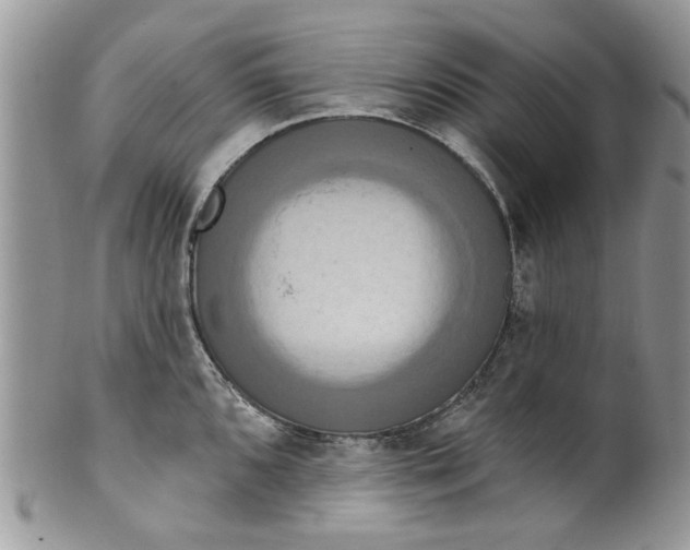 X0000099951096200806131442