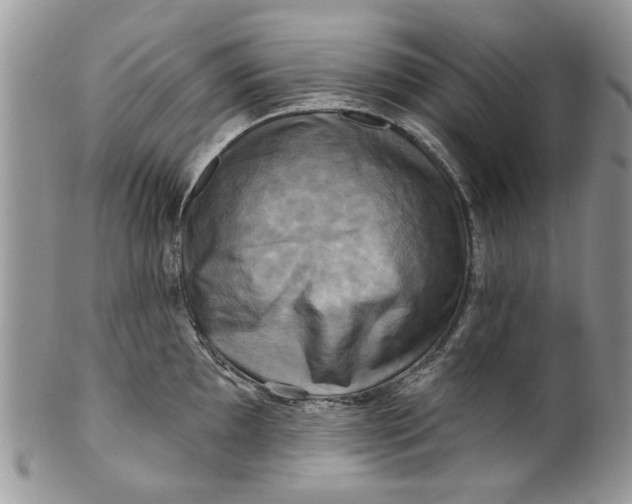 X0000099951097200806131442