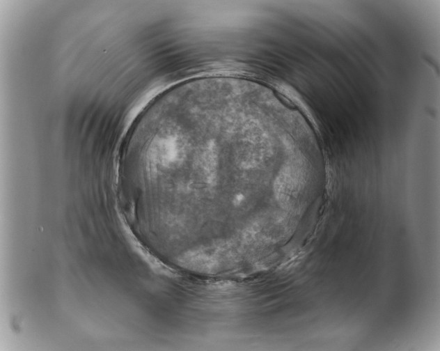 X0000099951099200806131442