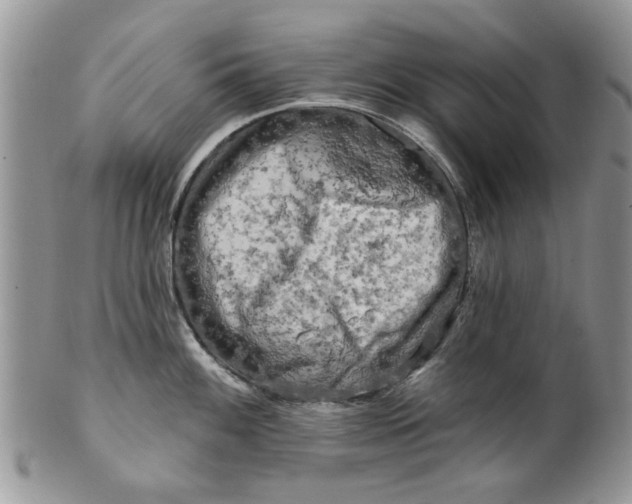 X0000099951100200806131442