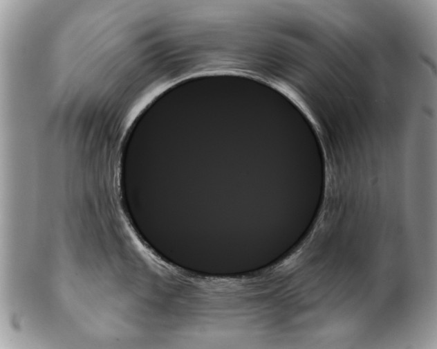 X0000099951101200806131442