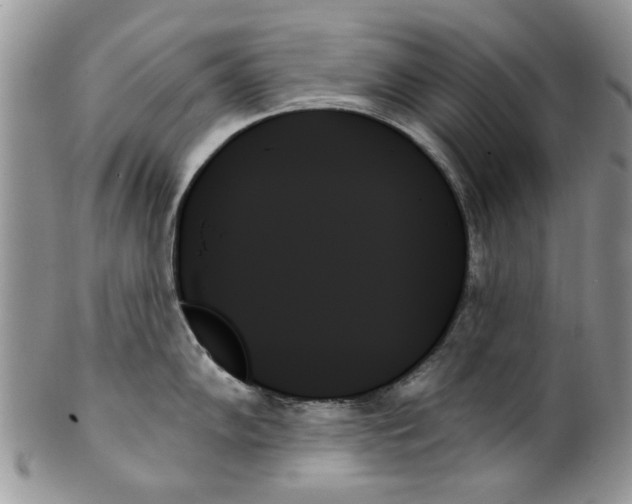 X0000099951102200806131442