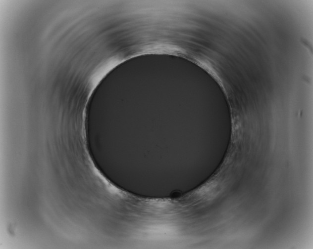 X0000099951103200806131442