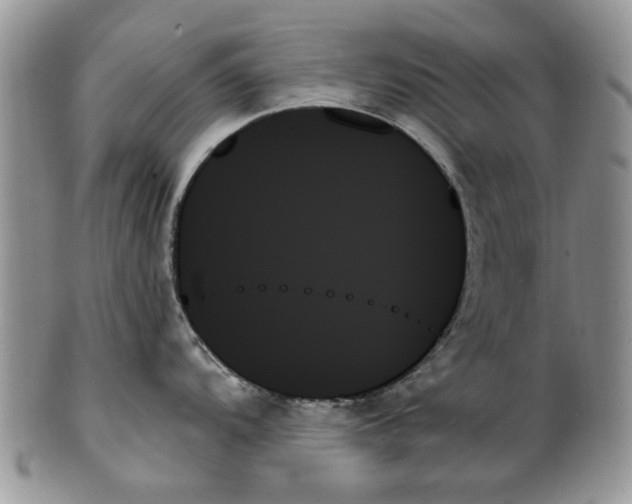 X0000099951104200806131442